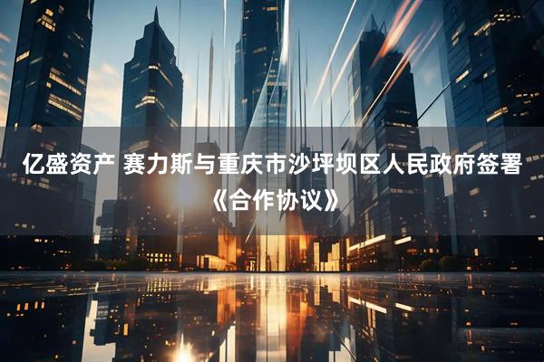 亿盛资产 赛力斯与重庆市沙坪坝区人民政府签署《合作协议》